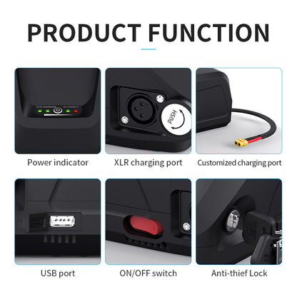 48V20Ah Ebike Battery For 17"+ Frames